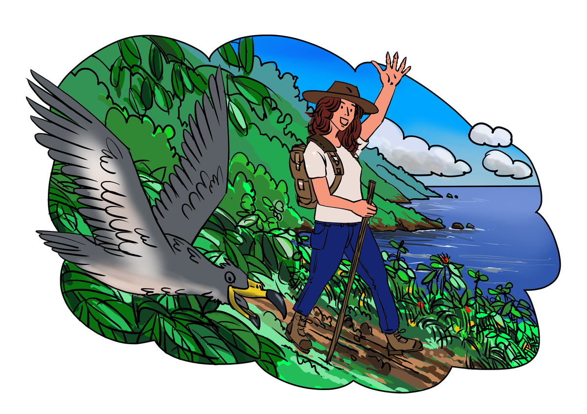 João Cagarro and Maria walking the trails of São Jorge in the Azores, artwork by Pieter Adriaans